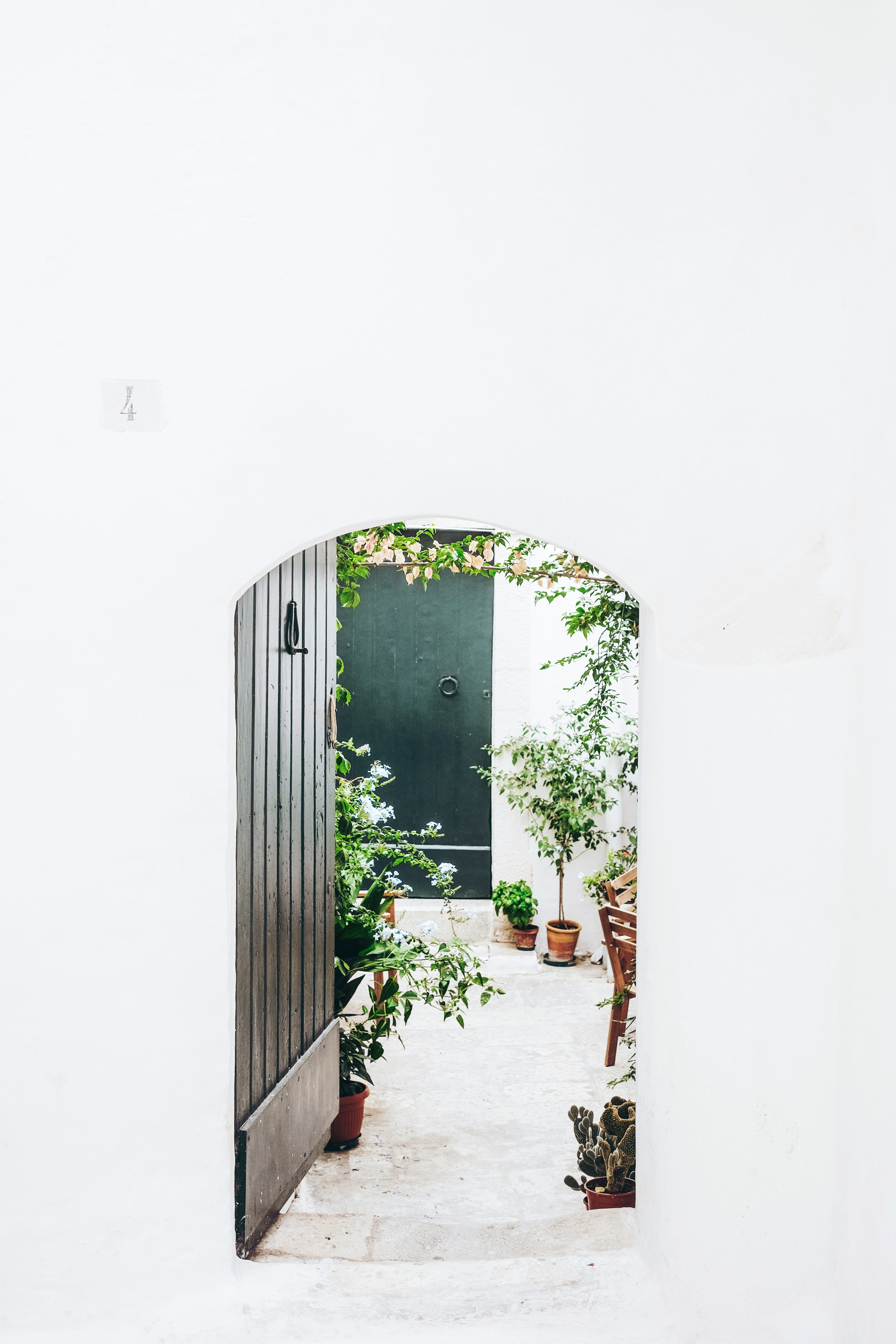 black wooden door near green plant